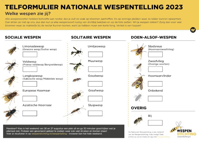 Telformulier Nationale wespentelling 2023, met daarop 3 kolommen. In kolom 1 staan 5 sociale wespen, in kolom 2 staan 5 solitaire wespen, en in kolom 3 4 "Doen-alsof-wespen" en de bij.